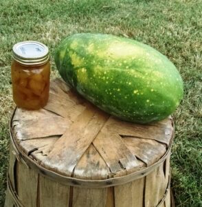 Waste Not, Want Not with This Watermelon Rind Pickles Recipe Image